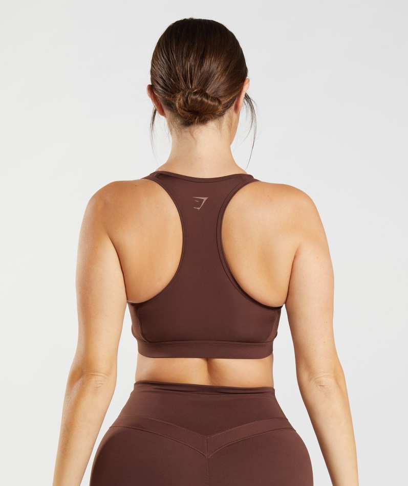 Gymshark Whitney Mesh Sports-bh Gjenoppstår Brun