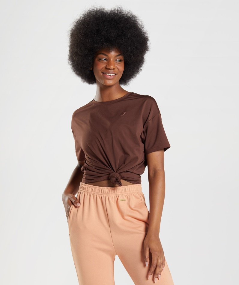 Gymshark Whitney Oversized T-skjorte Gjenopplives Brun