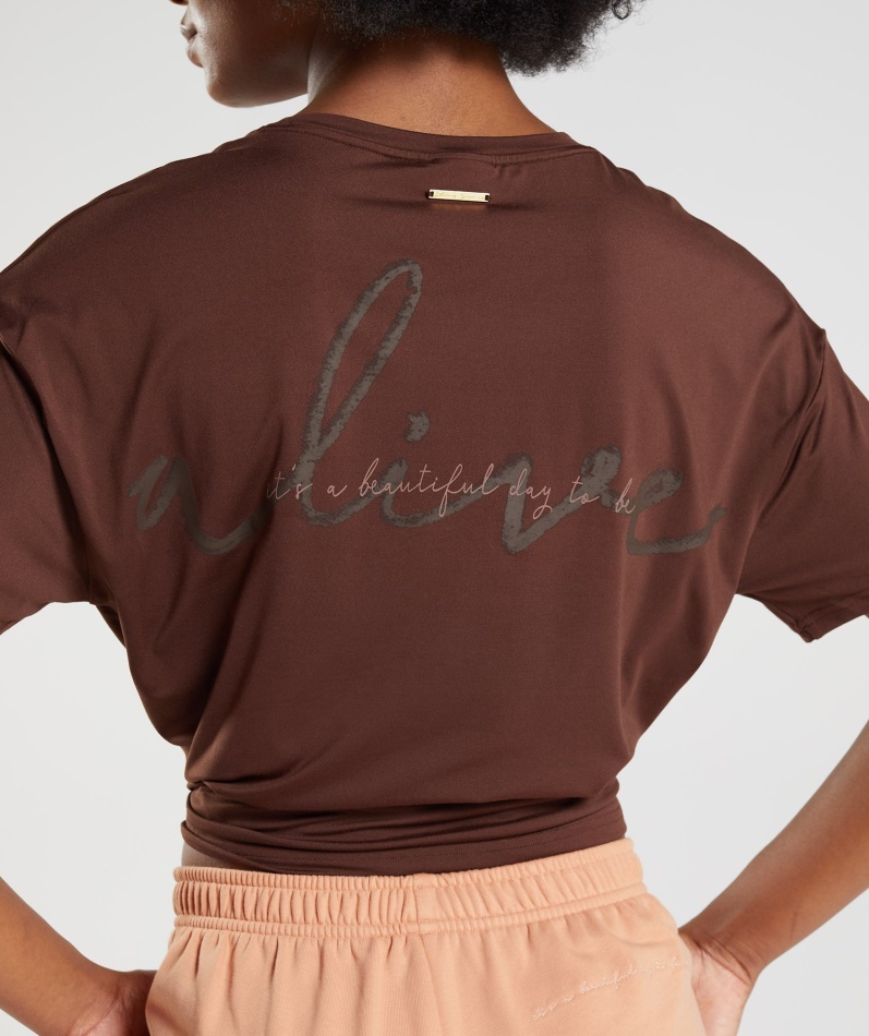 Gymshark Whitney Oversized T-skjorte Gjenopplives Brun